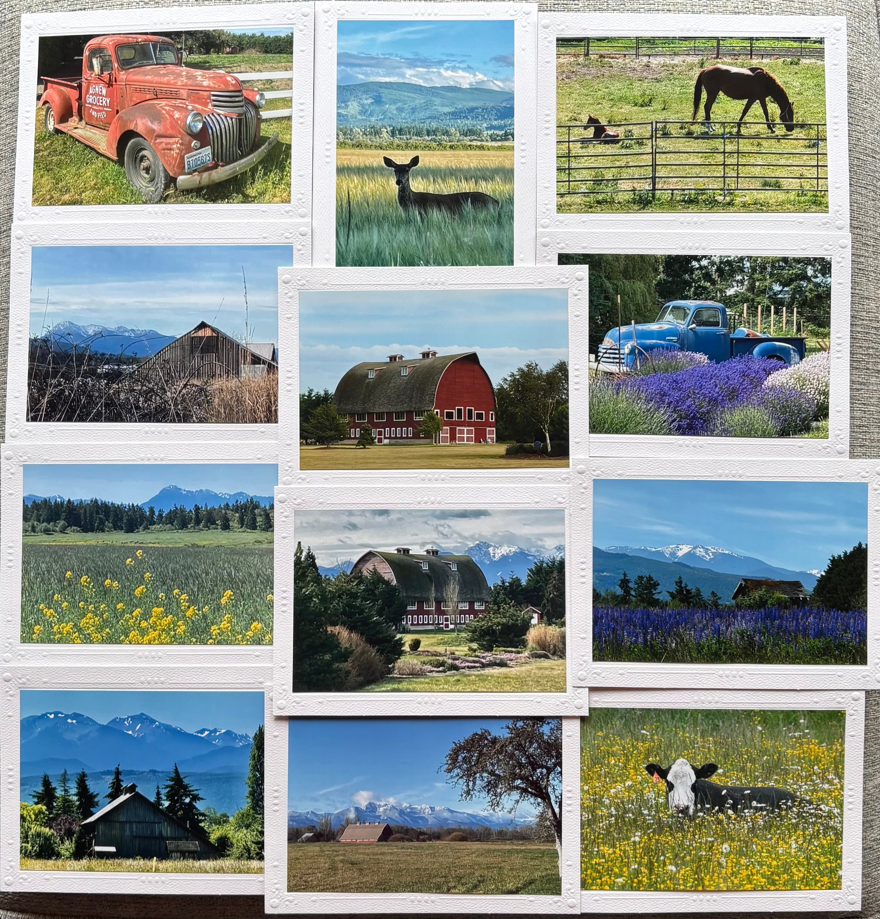 Set of 12 Cards (5" x 7")