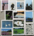 Set of 12 Cards (5" x 7")