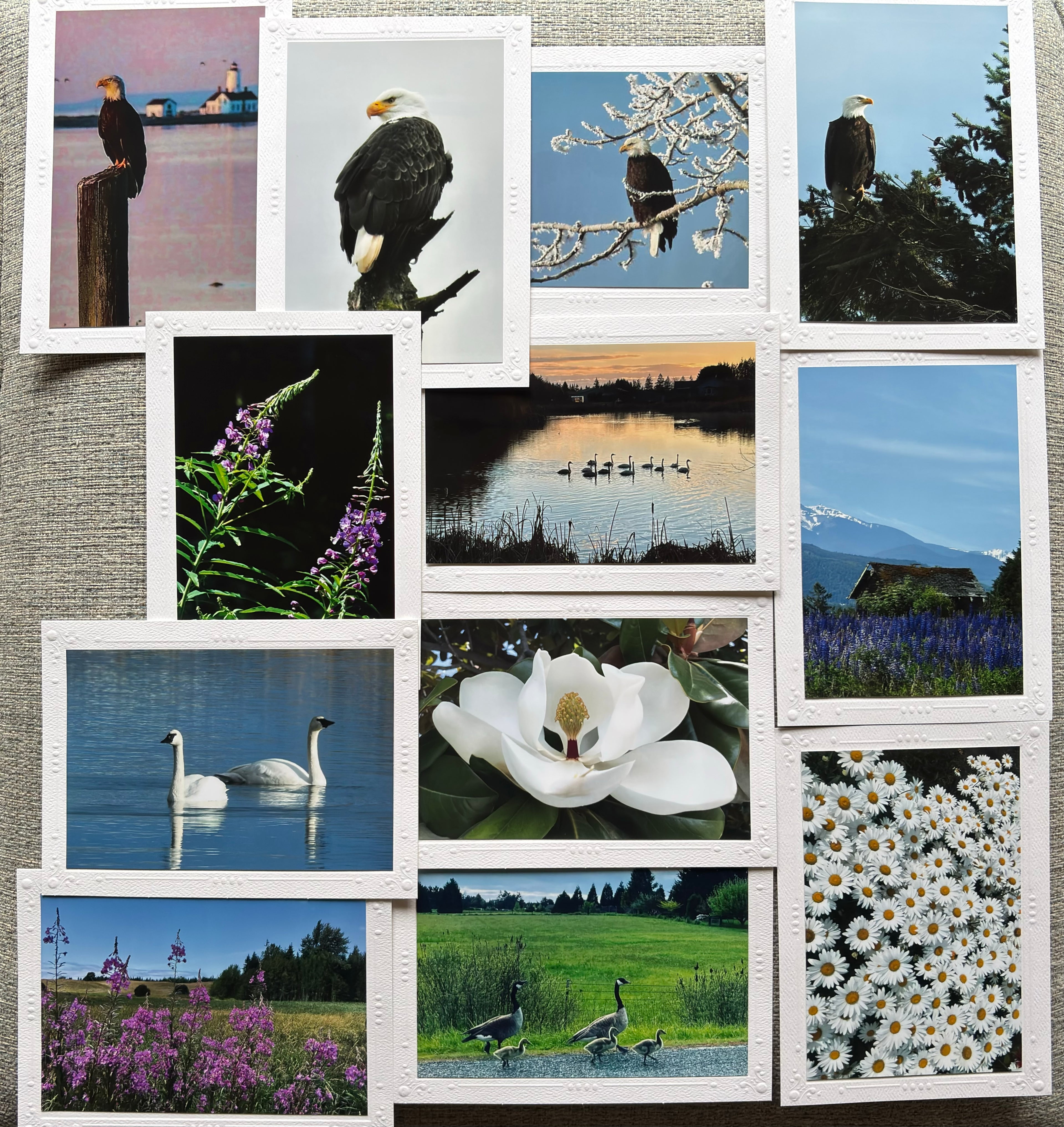 Set of 12 Cards (5" x 7")