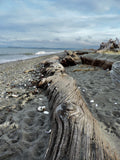 Jamestown Beach