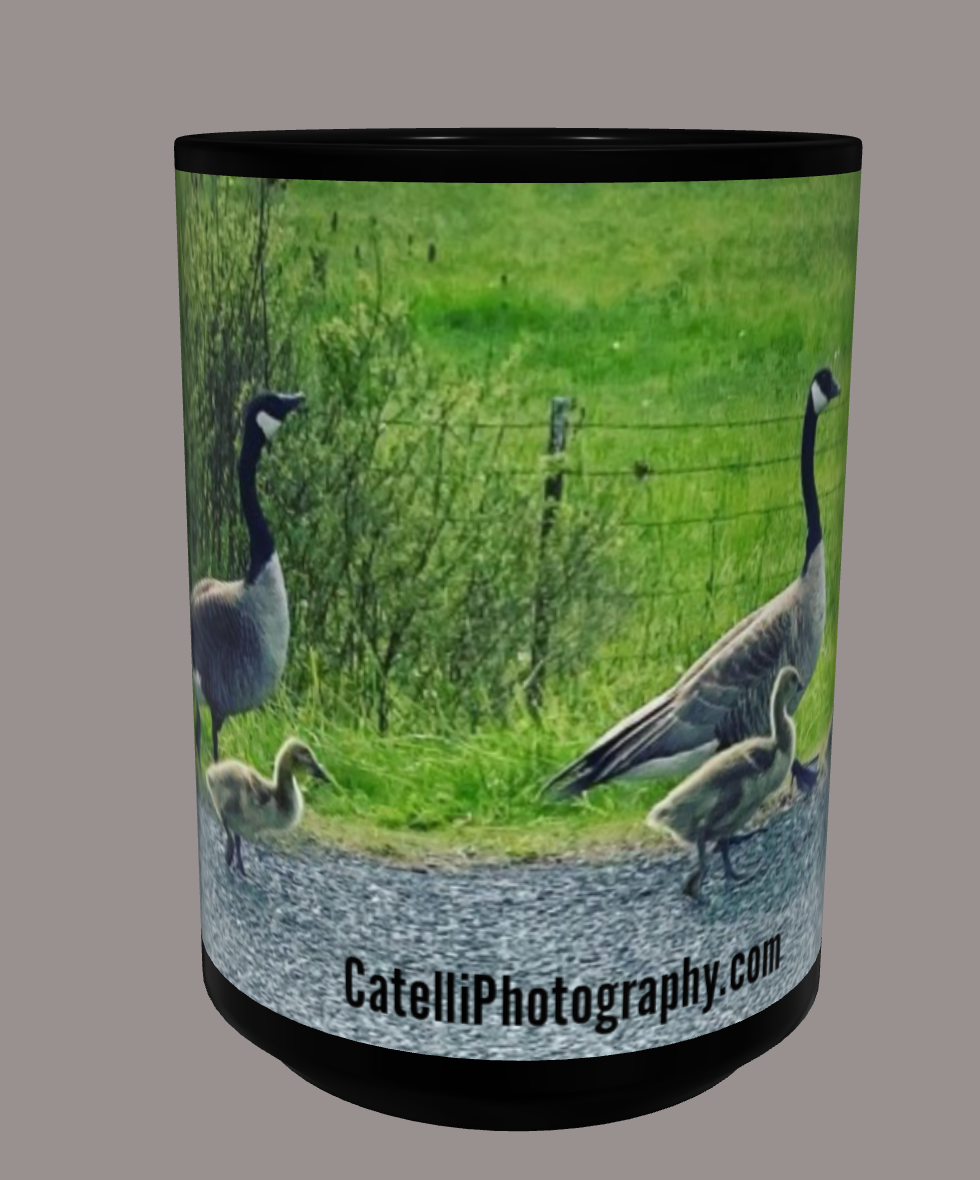 15 oz. Mug